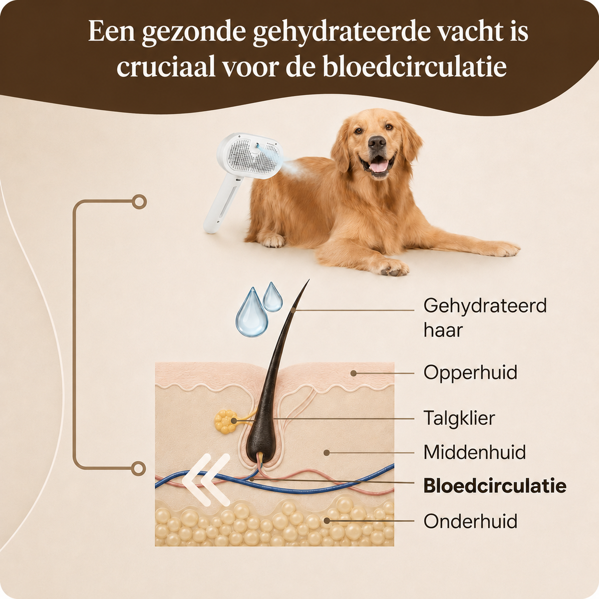Novren FurFresh™ Shampoo Drops