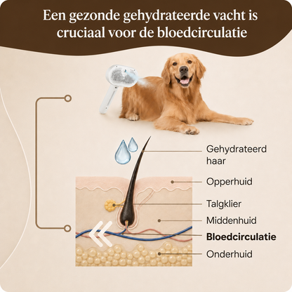 Novren FurFresh™ Shampoo Drops